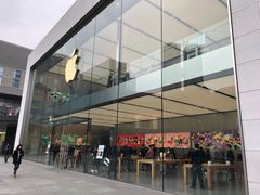 -Apple零售店(成都太古里店)