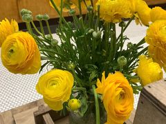 -甜莺蛋糕(顺盈时代广场店)