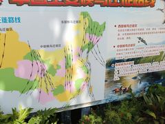 -广州长隆飞鸟乐园