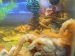 -V-ONE西雅图海鲜自助餐厅(仓山万达广场店)