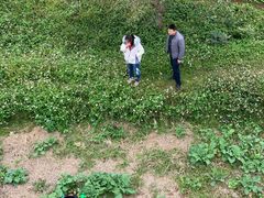 -艾米稻香小镇