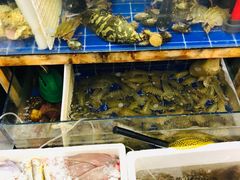 水产区-阿杰臻选海鲜饭店(普陀山店)
