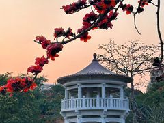 -南普陀寺