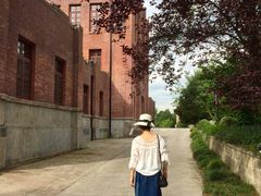 -之江大学-旧址