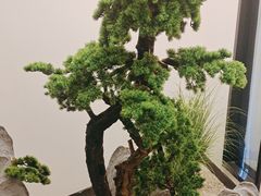 -栾氏荟(柳园店)