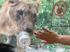 -栾川竹海野生动物园