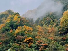 -光雾山旅游景区