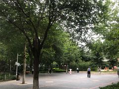 -庄怡公园