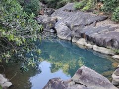 -广州白江湖森林公园