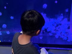 -欢乐海岸海洋奇梦馆
