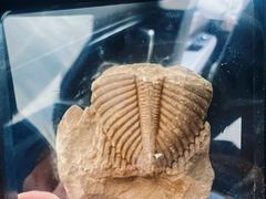 -房山世界地质公园博物馆