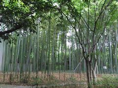-汇龙潭