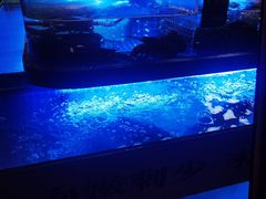 -鸽子侯·家宴·平价海鲜(绿地店)
