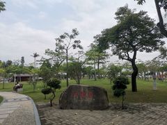 -野狸岛