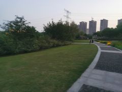 -九里河湿地公园