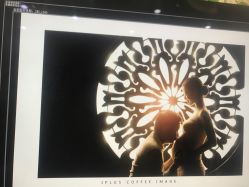 -iplus爱家高端孕妇摄影