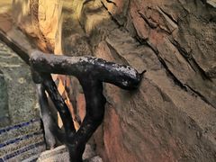 -海口观澜湖火山温泉谷