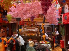 -吉祥圣雪藏餐