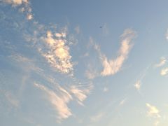 -厦门市图书馆(集美新城馆区)