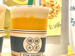雪绒-椰椰大吉(海城店)