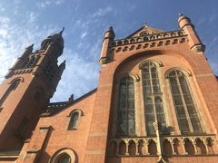 -上海佘山国家森林公园西佘山园