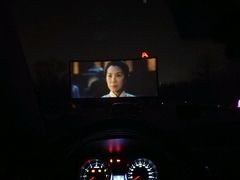 -枫花园汽车电影院(朝阳公园店)