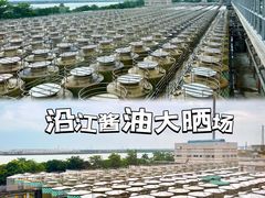 -厨邦酱油文化博览馆