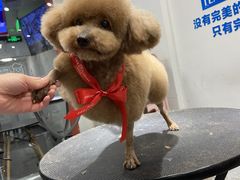-宠物家(双井店)