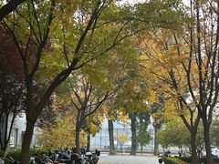 -北京理工大学(中关村校区)