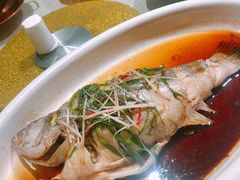 -长春市茶啊衝饭店(南湖公园店)