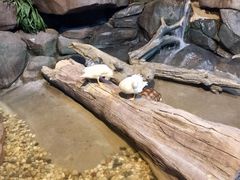 -苏州海洋馆
