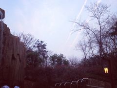 picture-南京汤山紫清湖生态旅游温泉度假区