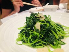 -苏浙汇(朝外店)