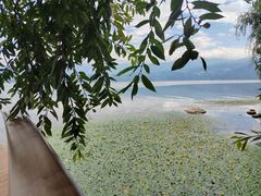 -西昌邛海湿地