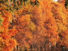 -华南国家植物园-售票处