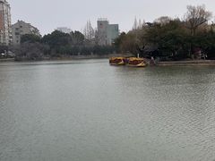 -荷兰街