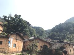 -杨家堂村