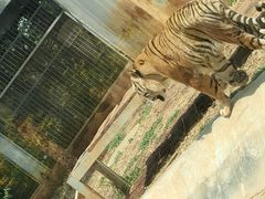 -昆明动物园