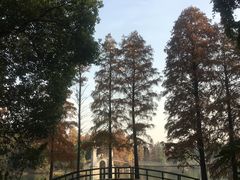 -东湖落雁景区
