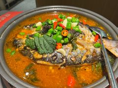 -探炉·香辣豆花烤鱼(笋岗宝能环球汇店)