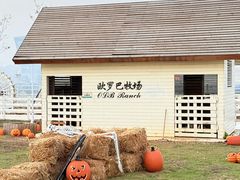 -华谊兄弟（长沙）电影小镇