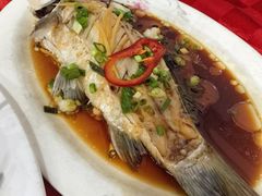-先鲜鲫鱼粥