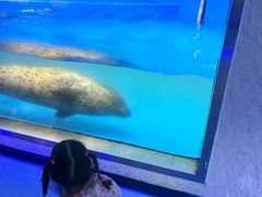 -重庆欢乐海底世界