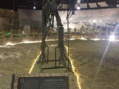 -二连浩特国家地质公园