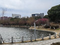 -天鹅湖体育公园