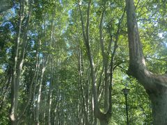 -WeLope紫金山探险公园