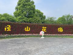 -径山花海