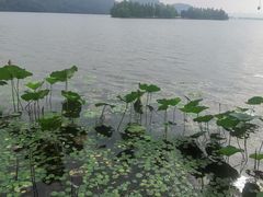 -东湖落雁景区