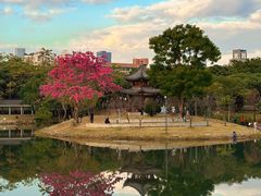 -四海公园(南山区)