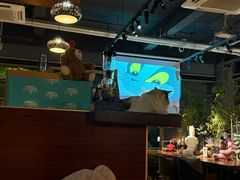 -咖法森林·咖啡  酒吧(天河店)